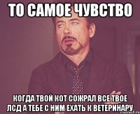 то самое чувство когда твой кот сожрал все твое лсд а тебе с ним ехать к ветеринару