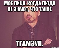 моё лицо, когда люди не знают, что такое тгамэуп.