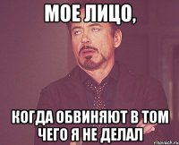 мое лицо, когда обвиняют в том чего я не делал