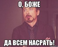 о, боже да всем насрать!