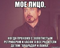 мое лицо, когда прохожу с золотистым ретривером и хаски, а все родители детям "лабрадор и лайка"