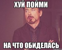 хуй пойми на что обиделась