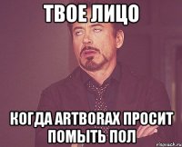 твое лицо когда artborax просит помыть пол