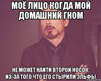 моё лицо когда мой домашний гном не может найти второй носок, из-за того что его стырили эльфы