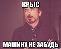 крыс машину не забудь