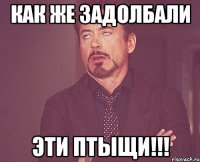 как же задолбали эти птыщи!!!