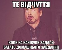 те відчуття коли на канікули задали багато домашнього завдання