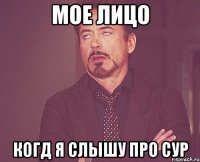 мое лицо когд я слышу про сур