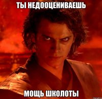 ты недооцениваешь мощь школоты