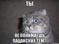 ты не понимаешь пацанских тем?