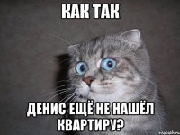 как так денис ещё не нашёл квартиру?