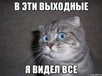 в эти выходные я видел все