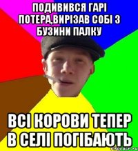 подивився гарі потера,вирізав собі з бузини палку всі корови тепер в селі погібають