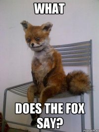 what does the fox say?