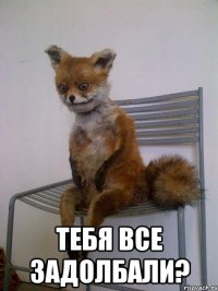  тебя все задолбали?