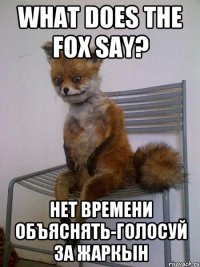 what does the fox say? нет времени объяснять-голосуй за жаркын