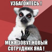 узбагойтесь ! меня зовут новый сотрудник яна !