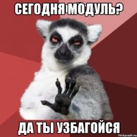 сегодня модуль? да ты узбагойся