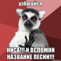  ниса!!! и вспомни название песни!!!