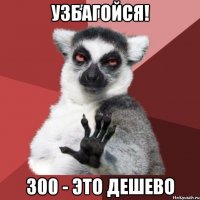 узбагойся! 300 - это дешево