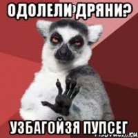 одолели дряни? узбагойзя пупсег