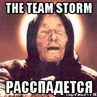 the team storm расспадется