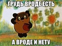 грудь вроде есть а вроде и нету