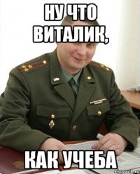 ну что виталик, как учеба