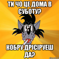 ти чо це дома в суботу? кобру дрісіруеш да?