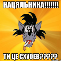 нацяльника!!! ти це схуоев???