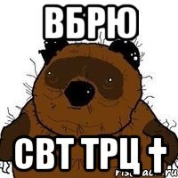 вбрю свт трц †