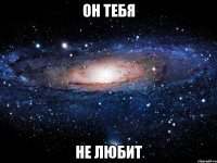 он тебя не любит