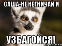 саша-не негничай и узбагойся!