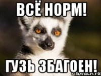 всё норм! гузь збагоен!