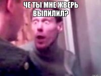 че ты мне жверь выпилил? 