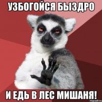 узбогойся быздро и едь в лес мишаня!