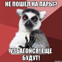 не пошел на пары? узбагойся! еще будут!