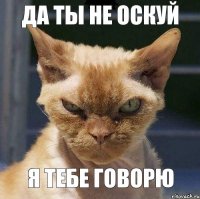 Да ты не оскуй Я тебе говорю