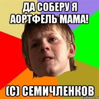 да соберу я аортфель мама! (c) семичленков