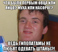 Что было первым овца или яйцо? Муха или насорог? Ведь гипопатамы не любят одевать штаны?!