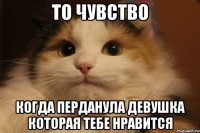 ТО ЧУВСТВО КОГДА ПЕРДАНУЛА ДЕВУШКА КОТОРАЯ ТЕБЕ НРАВИТСЯ