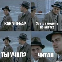 Завтра модуль по анатке Как учеба? Ты учил? Читал