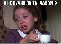 а не сучка ли ты часом ? 