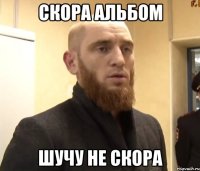 скора альбом шучу не скора