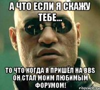 а что если я скажу тебе... то что когда я пришёл на bbs он стал моим любимым форумом!