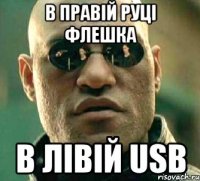 в правій руці флешка в лівій usb