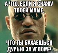 а что, если я скажу твоей маме, что ты бахаешься дурью за углом?