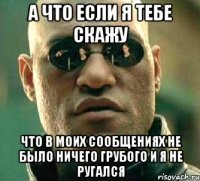 а что если я тебе скажу что в моих сообщениях не было ничего грубого и я не ругался