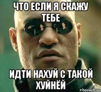 что если я скажу тебе идти нахуй с такой хуйнёй