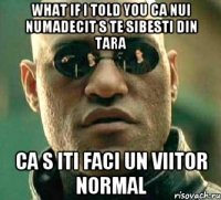 what if i told you ca nui numadecit s te sibesti din tara ca s iti faci un viitor normal